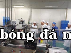 Đoàn của Sở Công nghiệp và Thương mại tỉnh Giang Tây cùng Viện Khoa học tỉnh đến Công ty Dược Giang Tây khảo sát