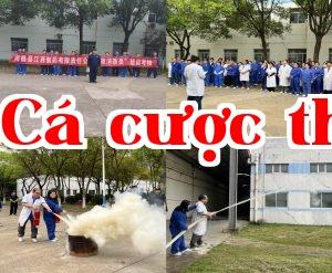 Tập huấn phòng cháy chữa cháy củng cố hàng rào an toàn, đào tạo cứu hộ tăng cường bảo vệ sinh mạng